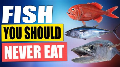 4 fish you should never eat|The 7 Best Fish to Eat—and 5 to Never Eat .